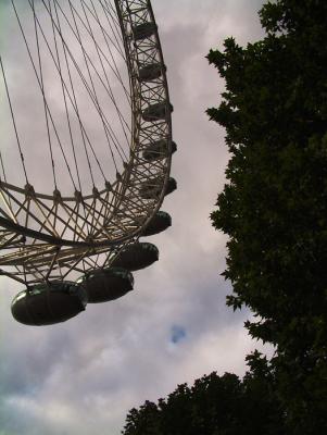eye 2.jpg