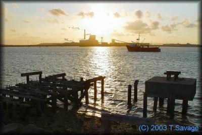 u19/celt_savage/medium/16993044.dock.jpg