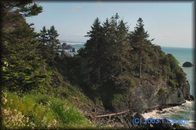 Trinidad Ca. Looking South