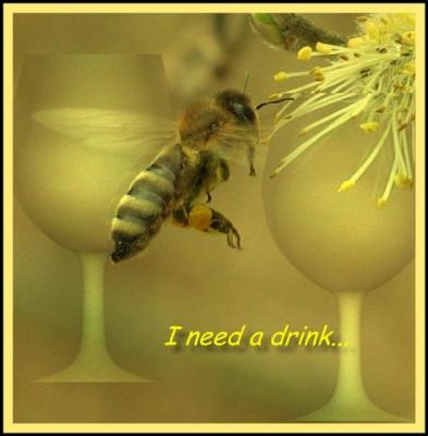 I need a drink....