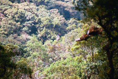 That little person hanging on over the canyon is Lisa!
