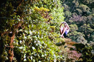 D scooting by the forest about 200 meters above the ground