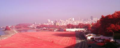 sf_field.jpg