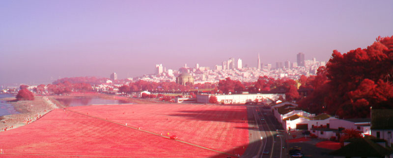 sf_field.jpg
