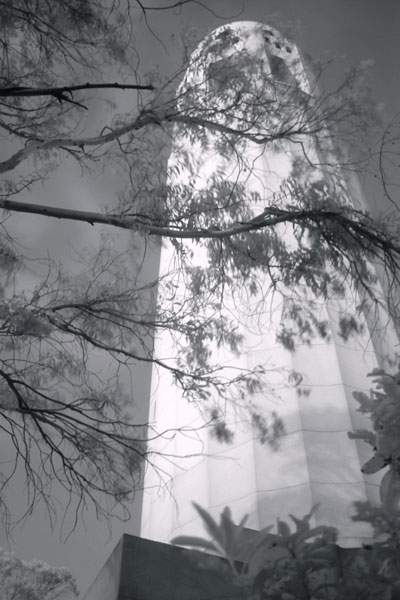 coit_bw_ir.jpg