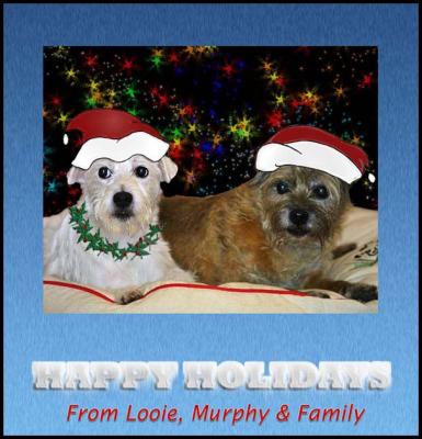 Greetings from The Kids