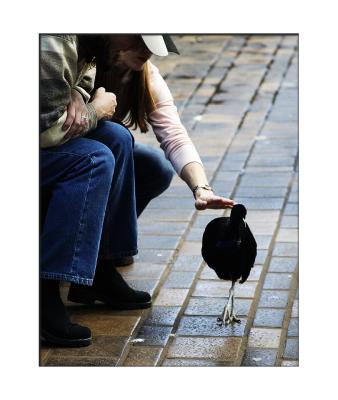 What a temptation those soft feathers are!