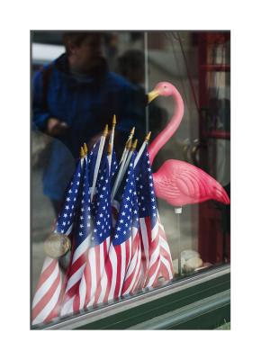 Camden Store Window