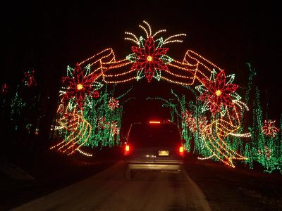 A poinsettia arch covers the road.