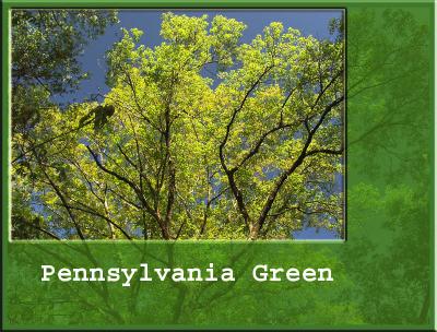 There's nothing like PA Green in the spring!