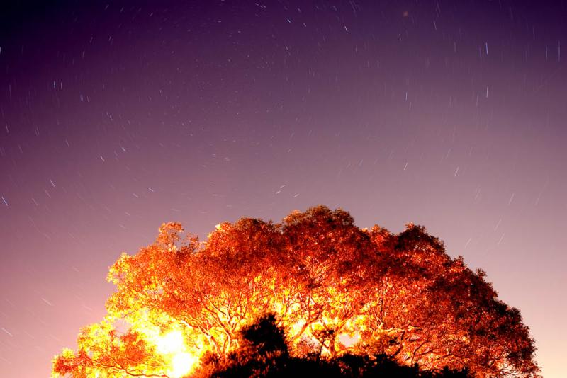A spot of astronomy