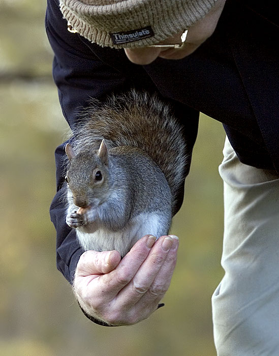 Caring for living creatures