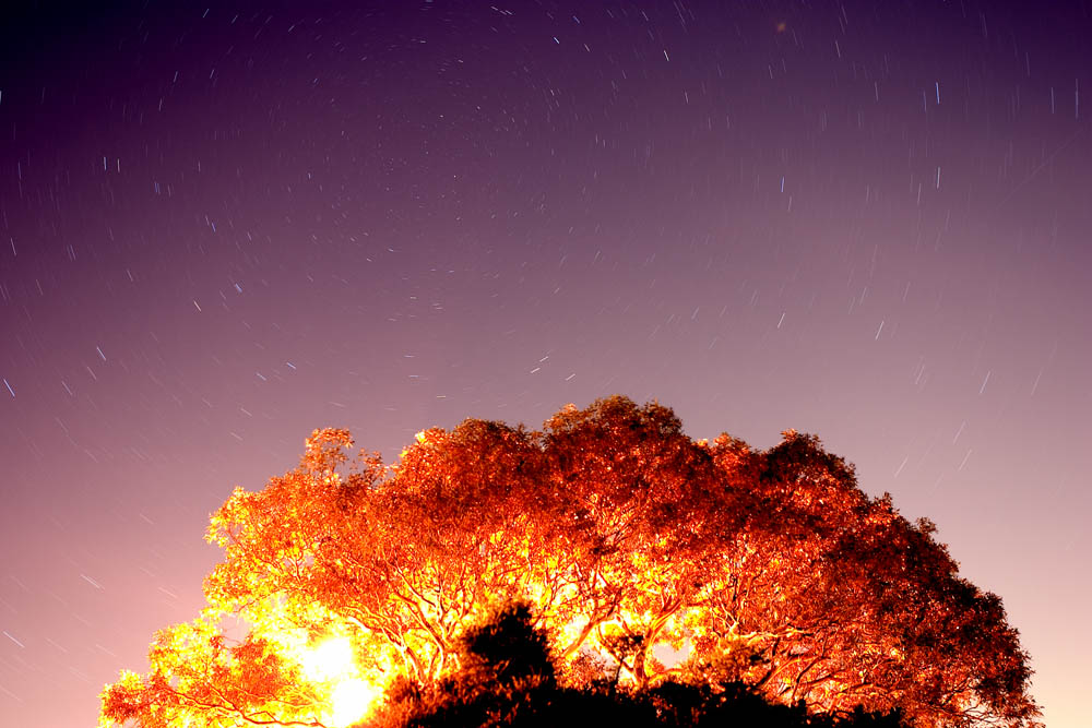 A spot of astronomy