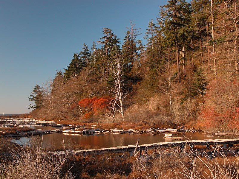 Smugglers Lagoon at Chinaman Point