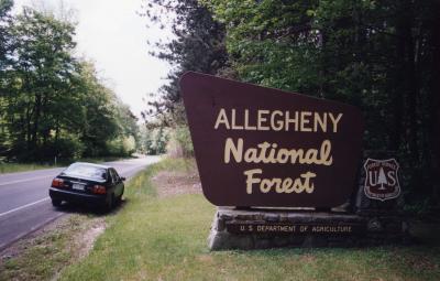 Allegheny National Forest, James City, Pennsylvania
