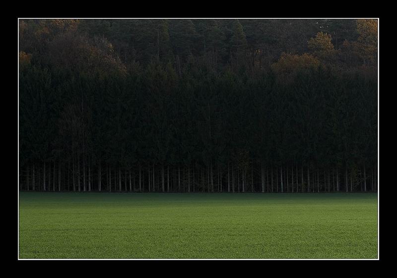 Trees*