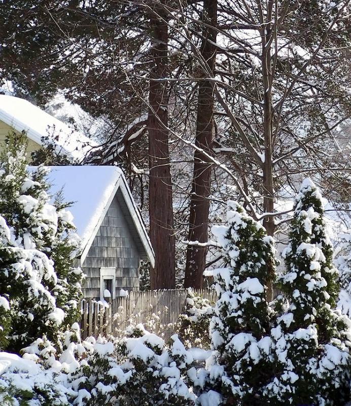 Winter where I live