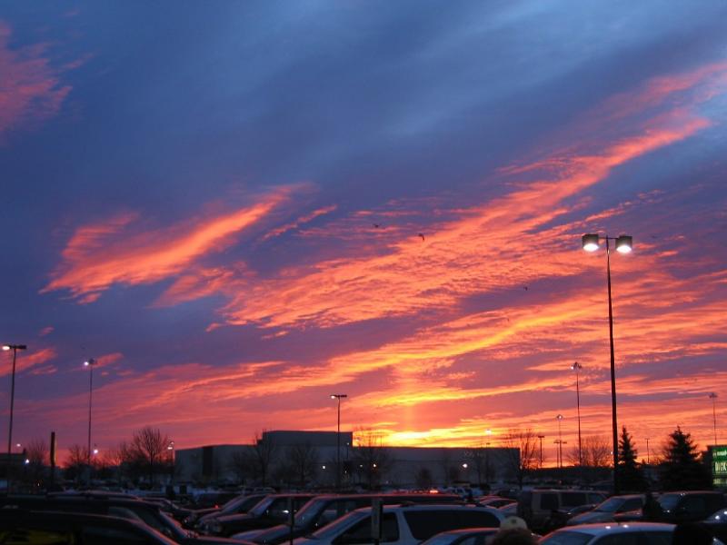Sunrise shopping!