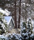 Winter where I live