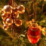 Red and Gold