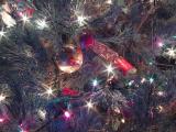 Ornament and Cracker