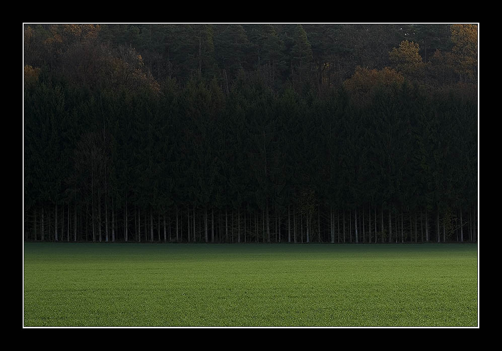 Trees*