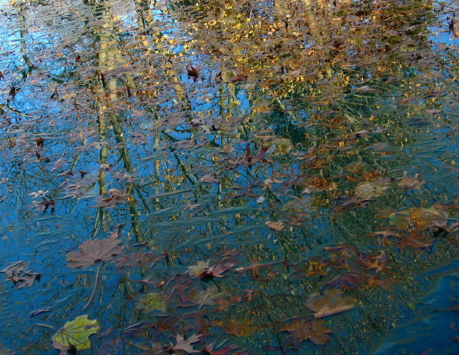 Recaptured Leaves *