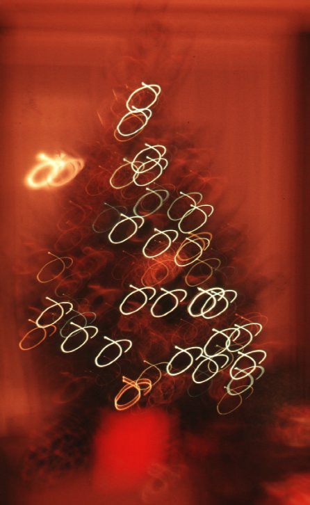 The Tree