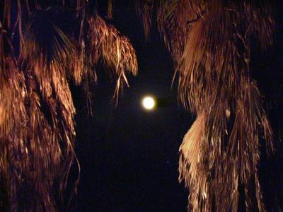 RIM00310.JPG
