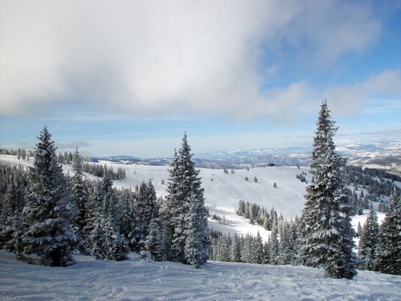Snow Flocked Trees and Ski Run DSC07478 Resized.jpg