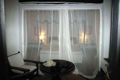 Through mosquito net into bedroom
