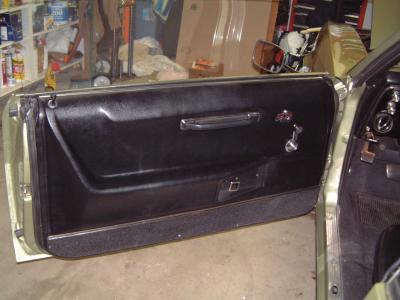 ds doorpanel.JPG