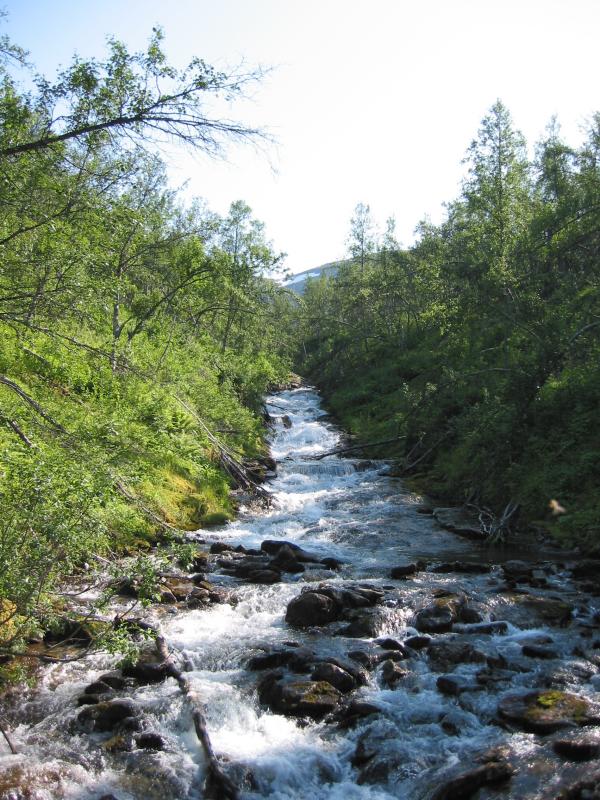Tromsdalselva ved brua mot Skarvassbu.jpg