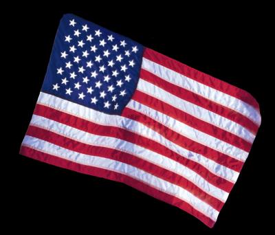 US flag blackback.jpg