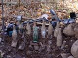 close up of bottles