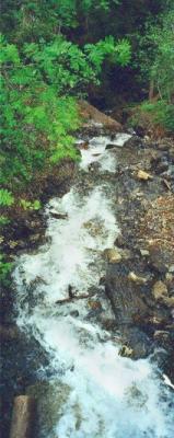 A stream near the trail from Murren to Grutschalp