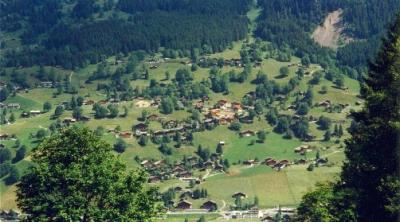Photo taken from our local train approaching Grindelwald.