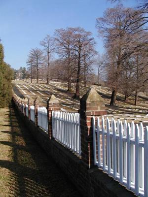 P2010036.jpg