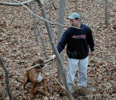 Biscuit and Chris play fetch with a log