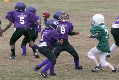 _MG_3447.jpg