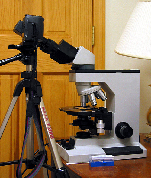 Microscope  Camera