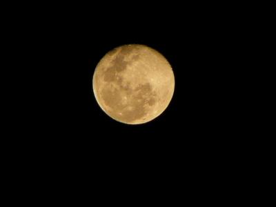 Moon