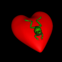 Frog