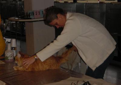 Tail measuring