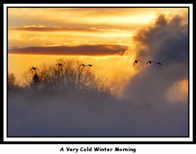 Cold Winter Morning 02