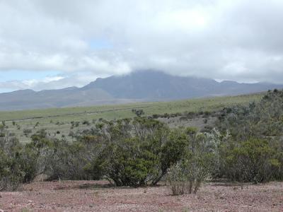 Wanderung durch den Cotopaxi Nationalpark