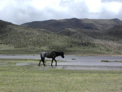 Wanderung durch den Cotopaxi Nationalpark