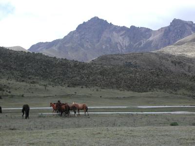 Wanderung durch den Cotopaxi Nationalpark