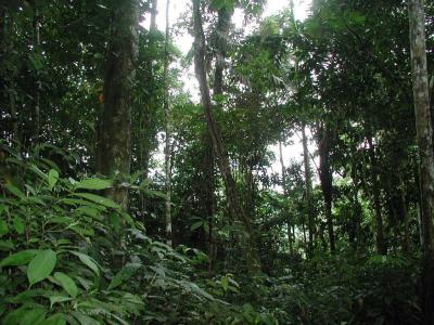 P1010277.jpg