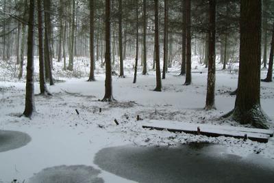 DSCF9676.jpg